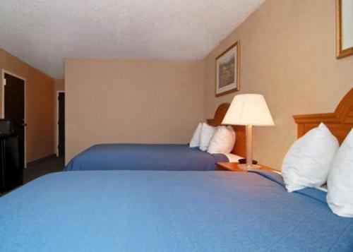 Express Inn & Suites Greenville Bilik gambar